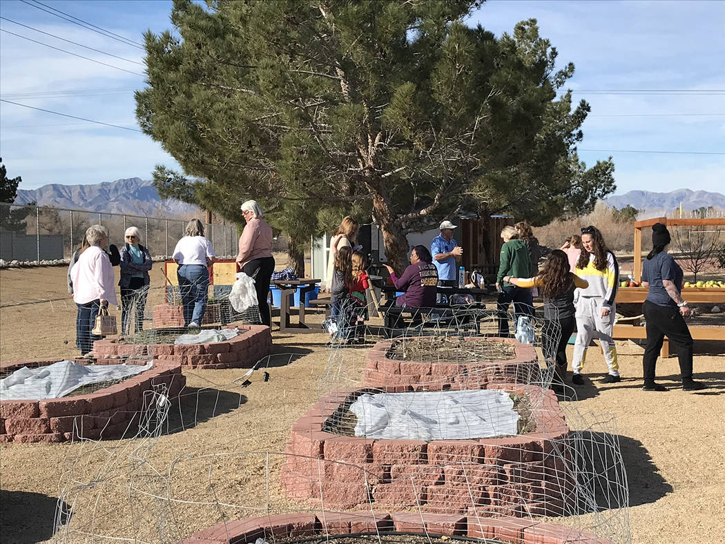 Robin Hebrock/Pahrump Valley Times Red bricks form the borders of six raised beds created on th ...