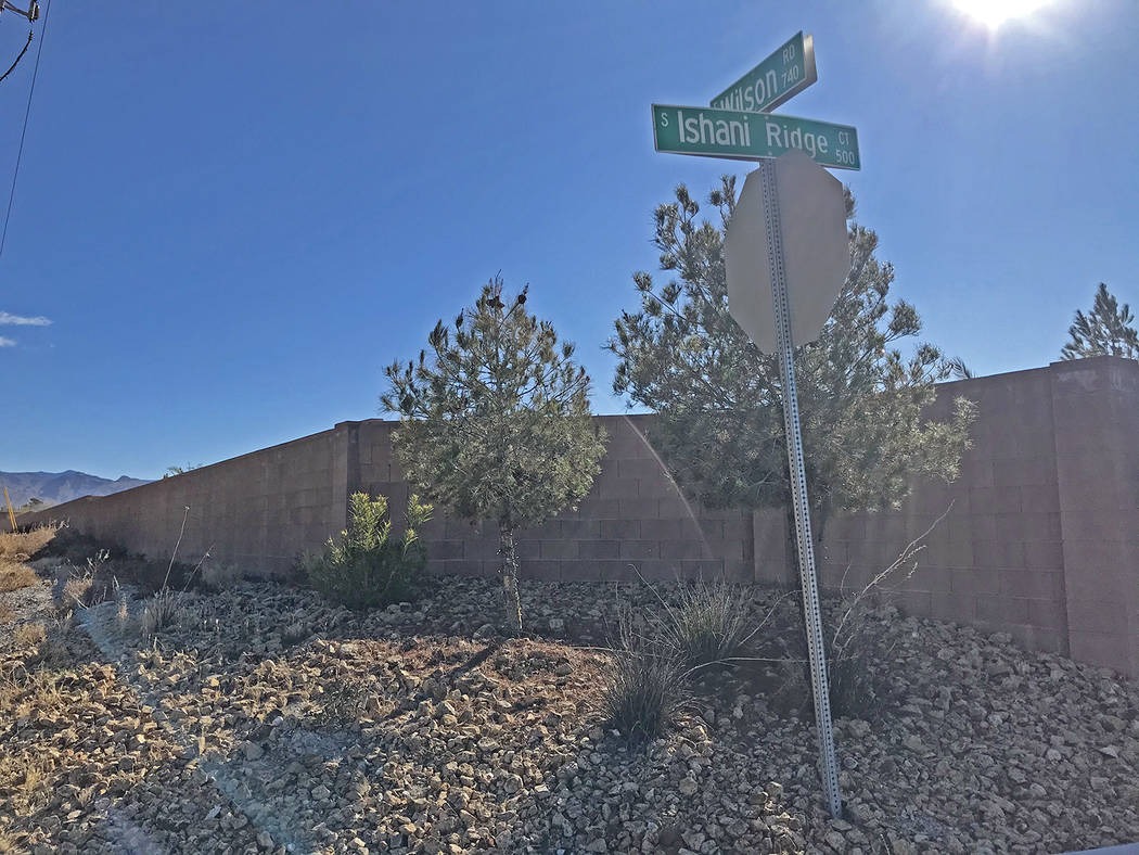 Robin Hebrock/Pahrump Valley Times The Ishani Ridge subdivision is located on land south of Wil ...
