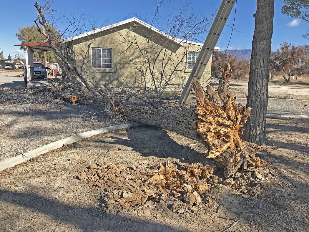 Robin Hebrock/Pahrump Valley Times Wind gusts were over 70 mph across Nye and Esmeralda countie ...