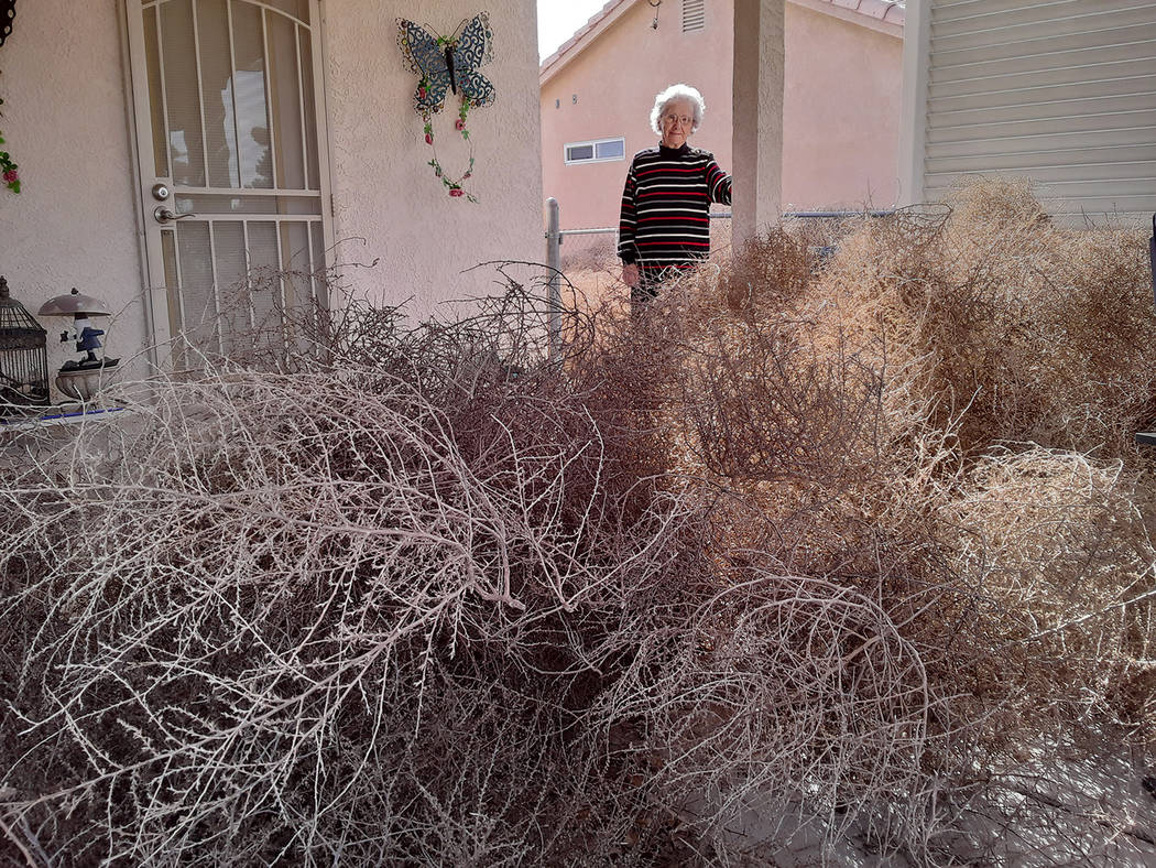 Selwyn Harris/Pahrump Valley Times Tumbleweeds were stacked as high as four feet at Betty Robis ...