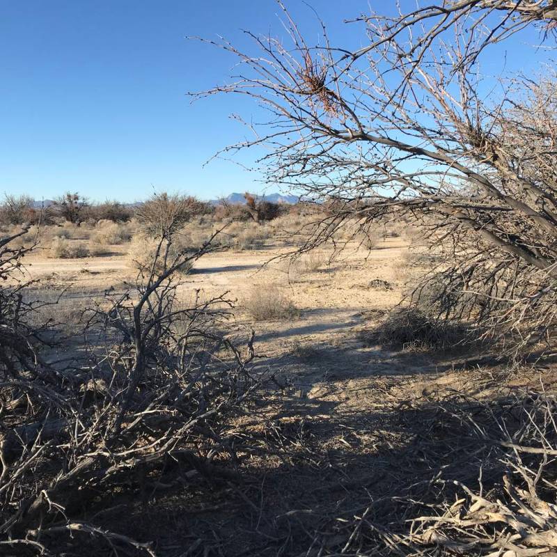 Vern Hee/Special to the Pahrump Valley Times Many trappers put their traps near off-highway veh ...