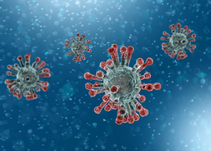 Getty Images A microscopic view of the coronavirus, a pathogen that attacks the respiratory tract.
