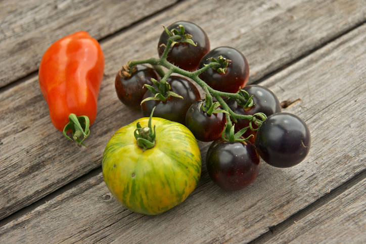 Getty Images Picking the right variety is the key to success. San Marzano, Green Zebra, and Bla ...