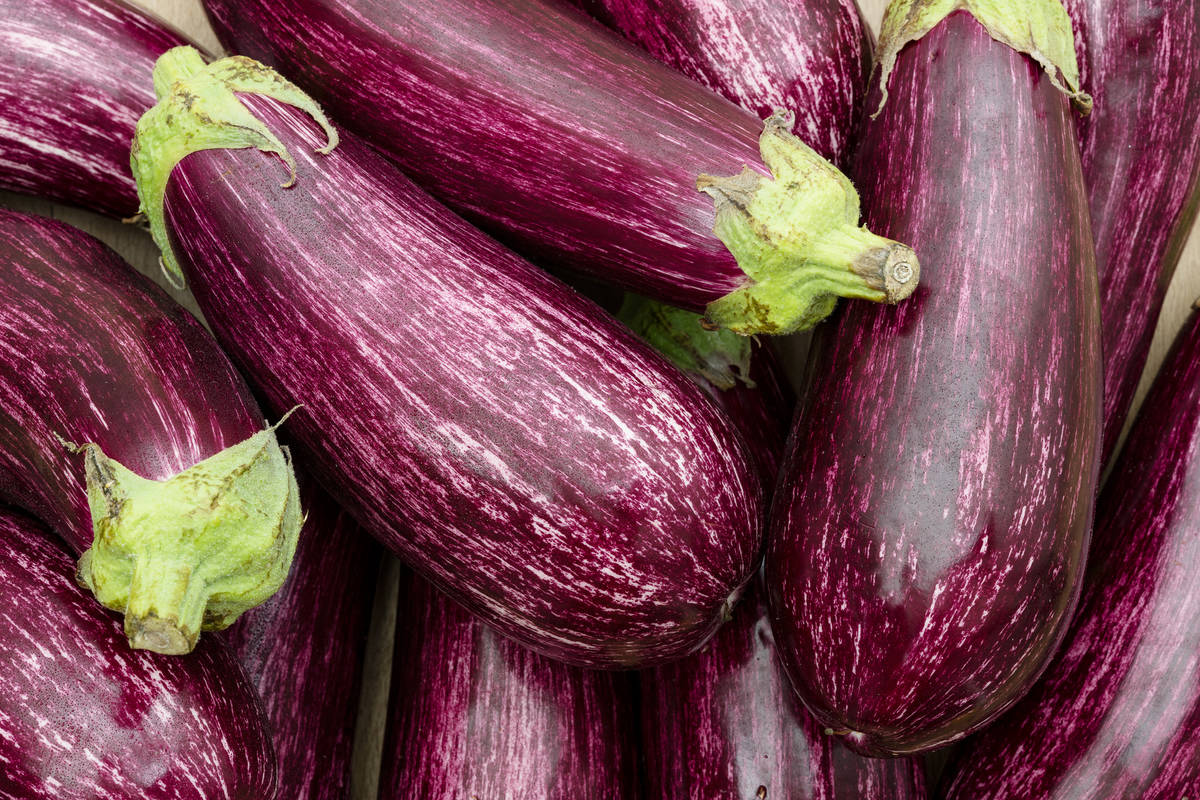 Getty Images "Eggplant is not as popular in American gardens as it’s cousin Tomato, but it i ...