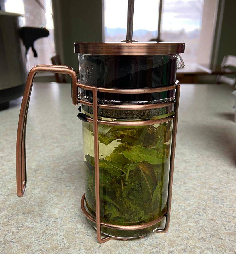 Terri Meehan/Special to the Pahrump Valley Times When brewed together Lemon Balm, Lemon Verbena ...