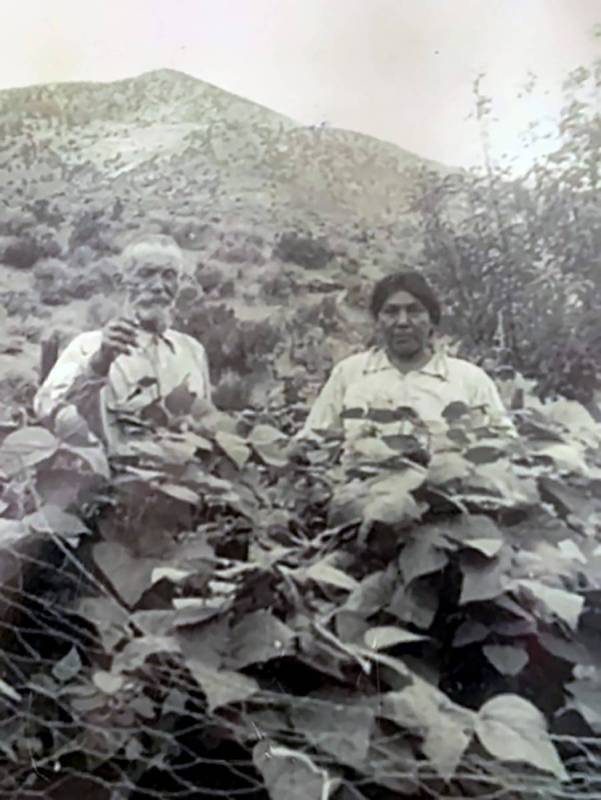 Special to the Pahrump Valley Times Cesar and Mary Rose Strozzi in the pea patch at Strozzi Ranch.