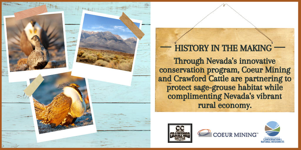 Courtesy/The Nevada Department of Conservation and Natural Resources The habitat conservation p ...