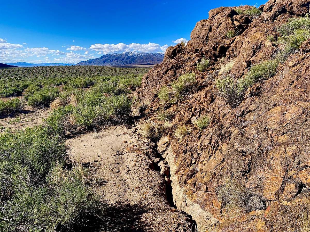 Special to the Pahrump Valley Times The surface rupture mapped by the University of Nevada, Ren ...