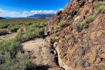 Special to the Pahrump Valley Times The surface rupture mapped by the University of Nevada, Ren ...