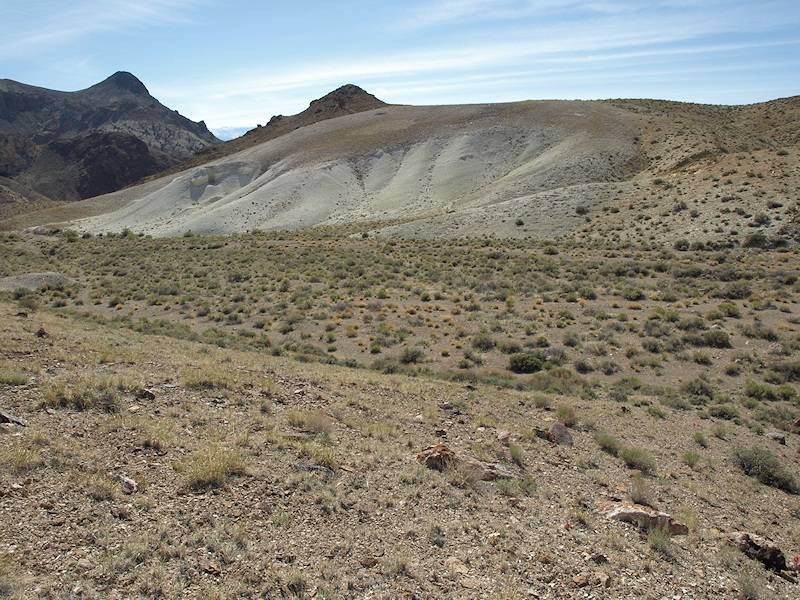 Nevada Department of Conservation and Natural Resources Nevada is home to more than 150 plant s ...