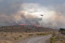 U.S. Forest Service The Cottonwood fire, burning in grass, sage and brush, mixed with some pin ...