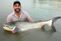 University of Nevada, Extension Migratory fish are invaluable to human health and the global e ...