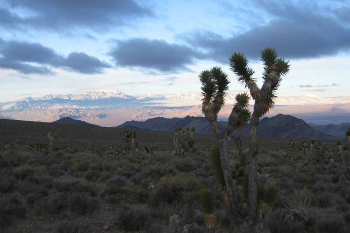 Desert National Wildlife Refuge The Desert National Wildlife Refuge in Nevada is shown in this ...