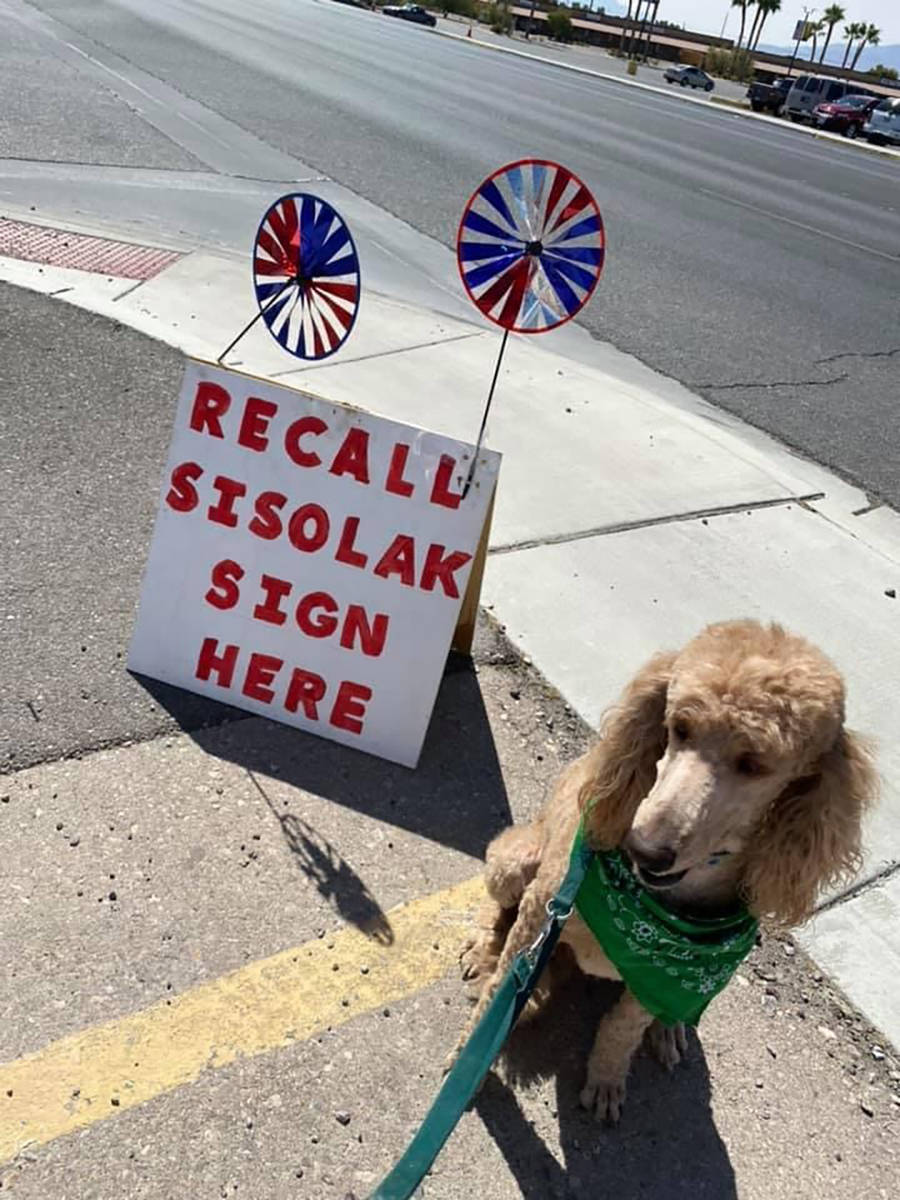 Special to the Pahrump Valley Times "Recall Sisolak - Sign Here" signs help direct voters to lo ...