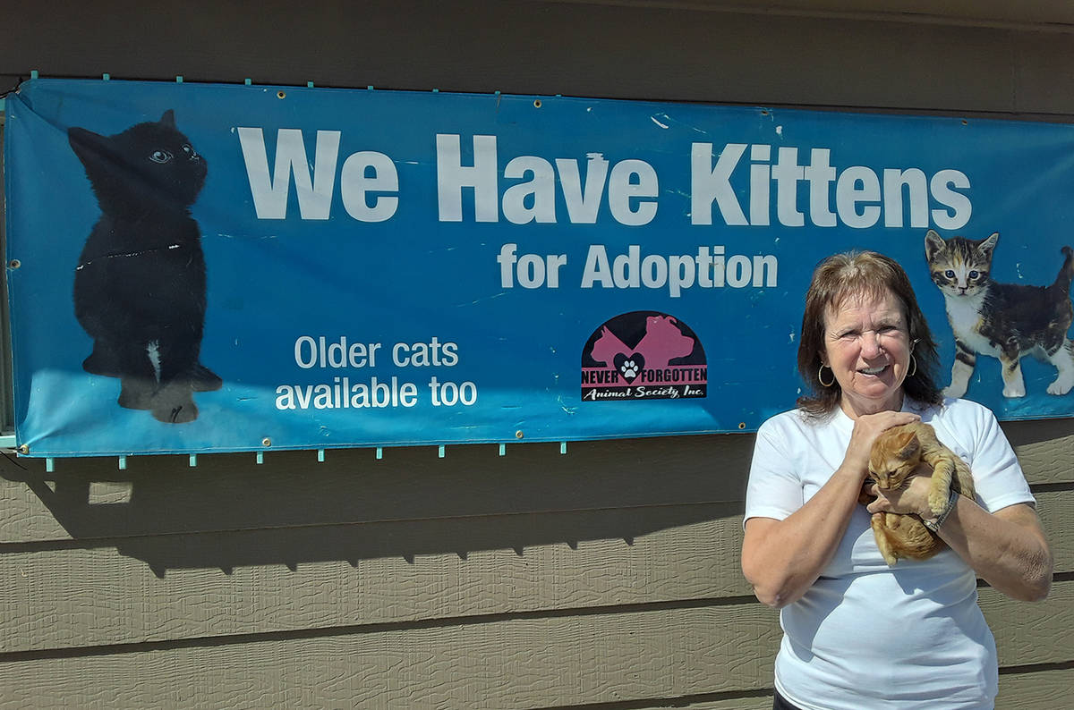 Local animal rescue hosts free adoption event | Pahrump Valley Times