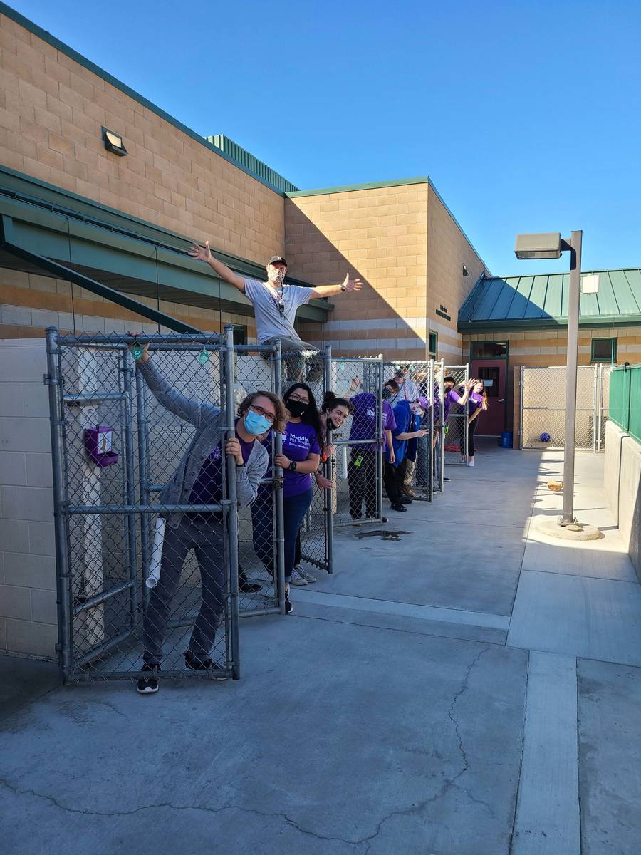 Special to the Pahrump Valley Times Maddie’s Pet Adoption Days partnered with 44 organizatio ...