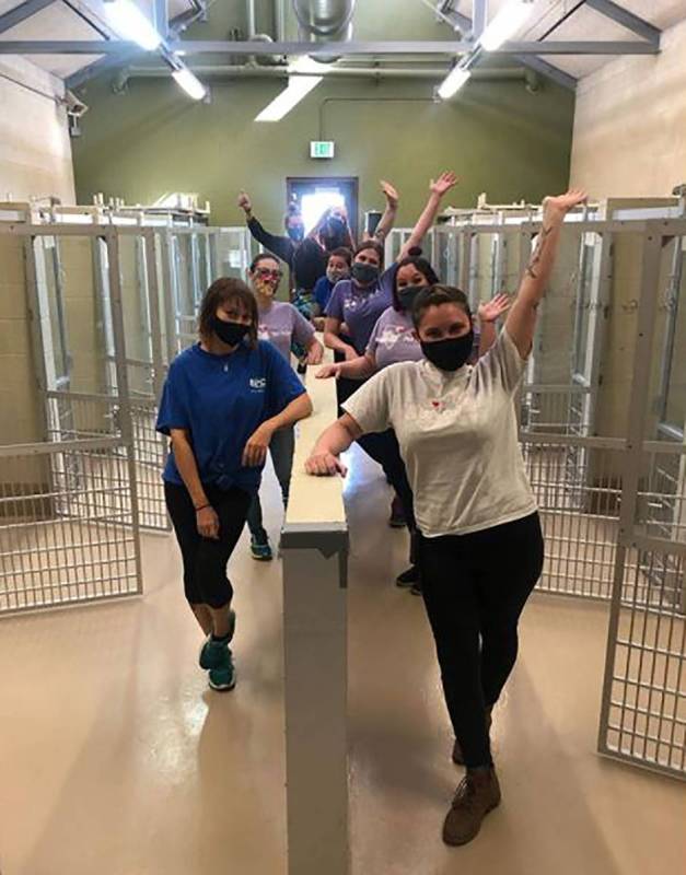 Special to the Pahrump Valley Times Volunteers and employees rejoice at empty kennels following ...