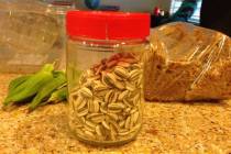 Terri Meehan/Special to the Pahrump Valley Times Sunflower seeds are some of the easiest seeds ...