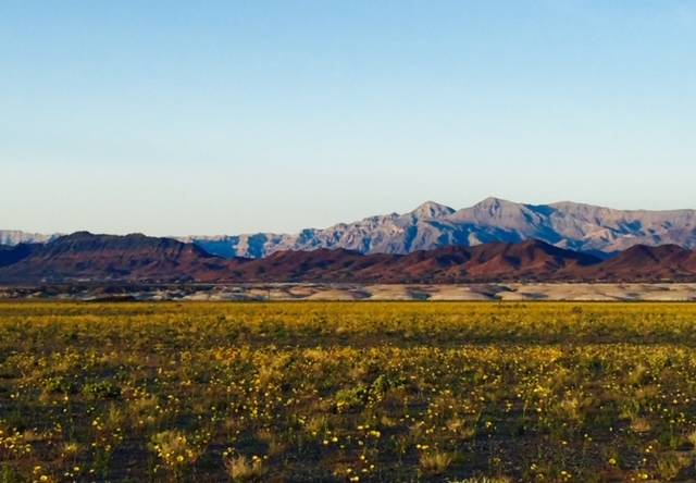 Susan Sorrells/Special to the Pahrump Valley Times A campaign to advocate for the creation of t ...