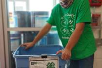Special to the Pahrump Valley Times 4-H Community Club President Gus Domina places a food colle ...