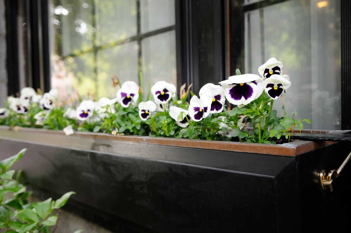 Getty Images Window boxes are a perfect solution for gardening in small spaces or for apartmen ...