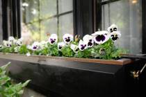 Getty Images Window boxes are a perfect solution for gardening in small spaces or for apartmen ...