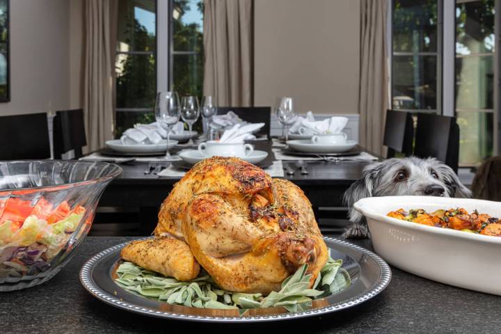 Getty Images Pet website halocollar.com suggests to not feed your pet leftovers from the table ...