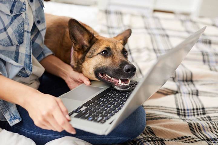 Getty Images According to a recent national survey by Deloitte, 57% of consumers felt anxious a ...