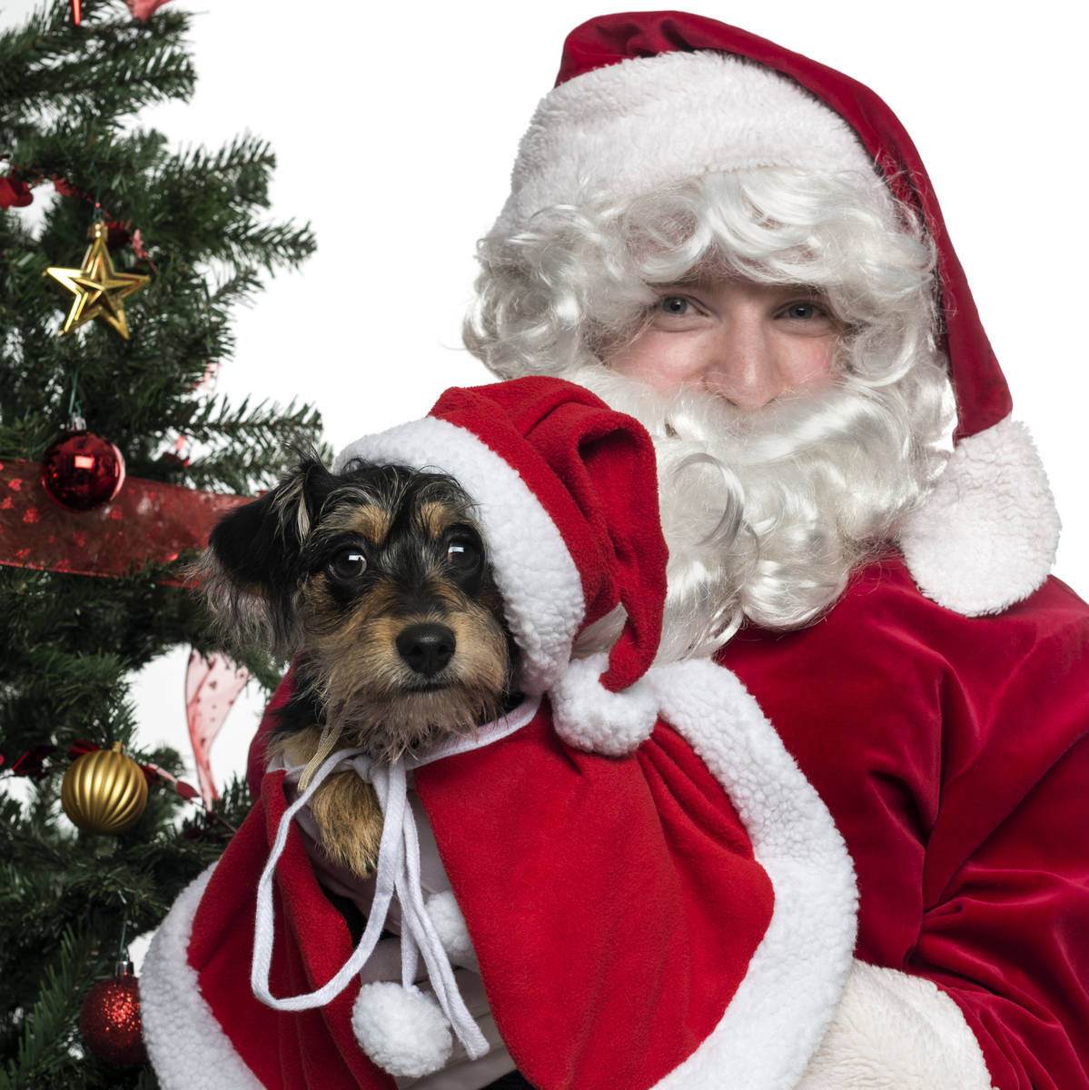 Getty Images “Pet Day” photos with Santa event is set for Wednesday at Pahrump’s Salvati ...