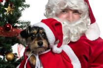 Getty Images “Pet Day” photos with Santa event is set for Wednesday at Pahrump’s Salvati ...