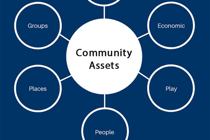 Special to the Pahrump Valley Times This graphic included in the Community Assets Survey detail ...