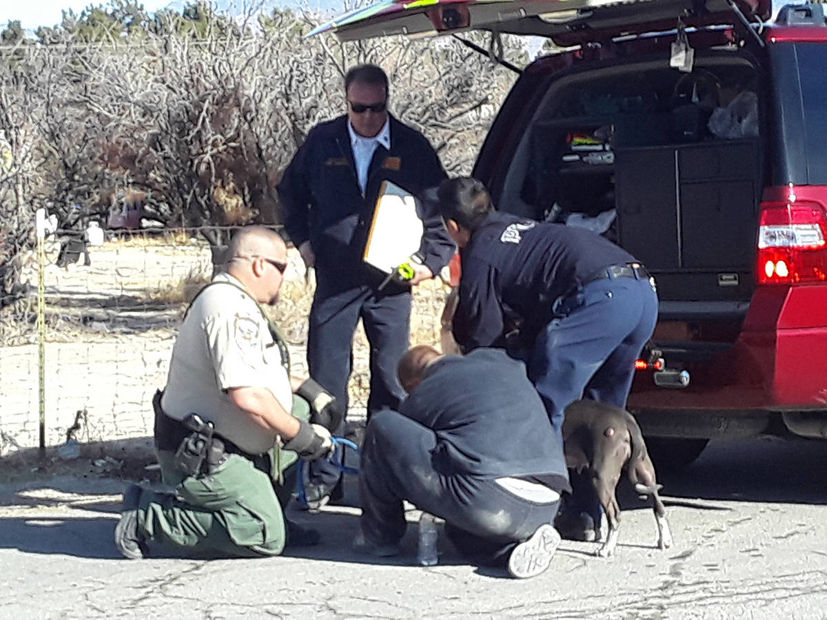 Selwyn Harris/Pahrump Valley Times Nye County Animal Control Officer Levi Gregory, at left, pro ...