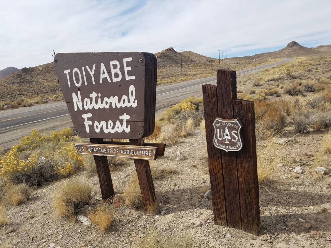 Pahrump Valley Times--file photo In Nye County, RMEF helped thin pinyon and juniper trees encro ...