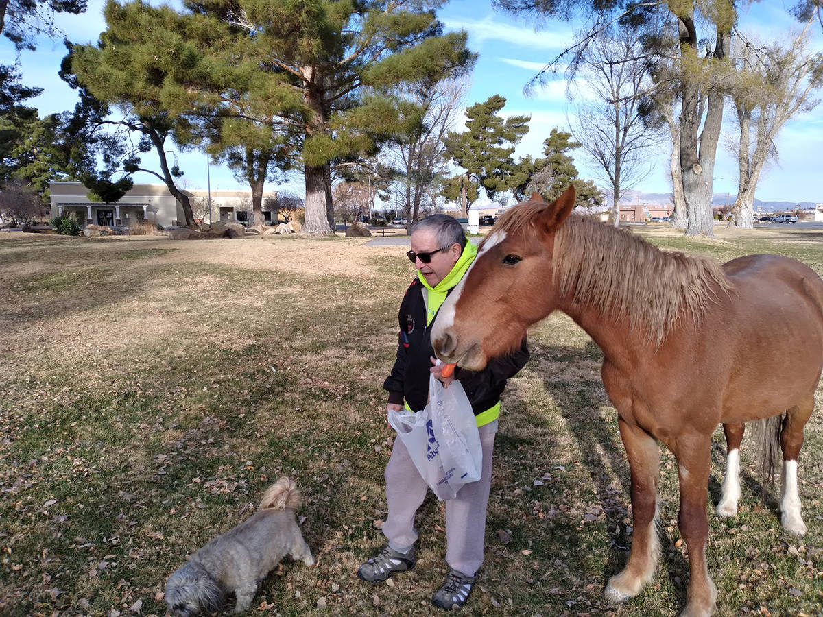 Selwyn Harris/Pahrump Valley Times Proenza said he befriended the wild mustang while out walkin ...