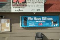 Selwyn Harris/Pahrump Valley Times The Never Forgotten Animal Society is hosting a two-day yard ...