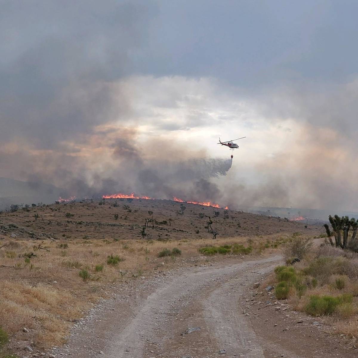 U.S. Forest Service The Cottonwood fire, burning in grass, sage and brush, mixed with some pin ...