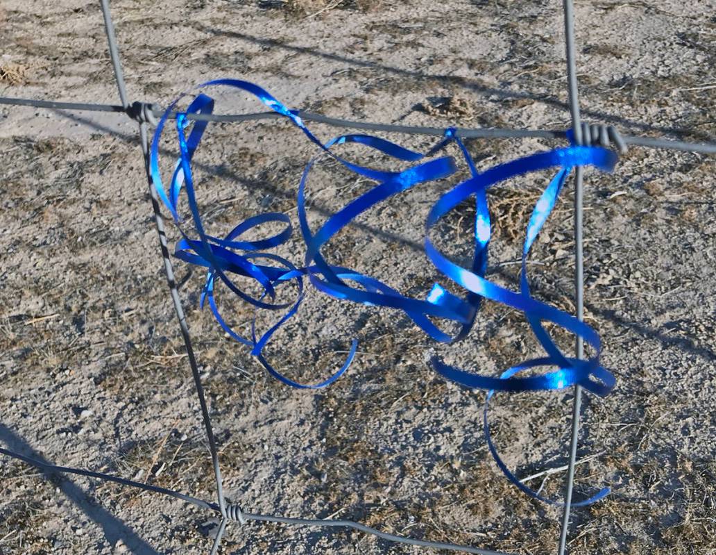 Robin Hebrock/Pahrump Valley Times Blue ribbons tied to a fence provide a visual display of sup ...