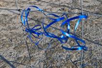 Robin Hebrock/Pahrump Valley Times Blue ribbons tied to a fence provide a visual display of sup ...