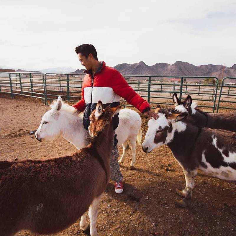 Nature Health Farms Alex De Jong tends to his petting zoo animals at Nature Health Farms. De Jo ...