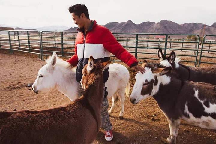 Nature Health Farms Alex De Jong tends to his petting zoo animals at Nature Health Farms. De Jo ...