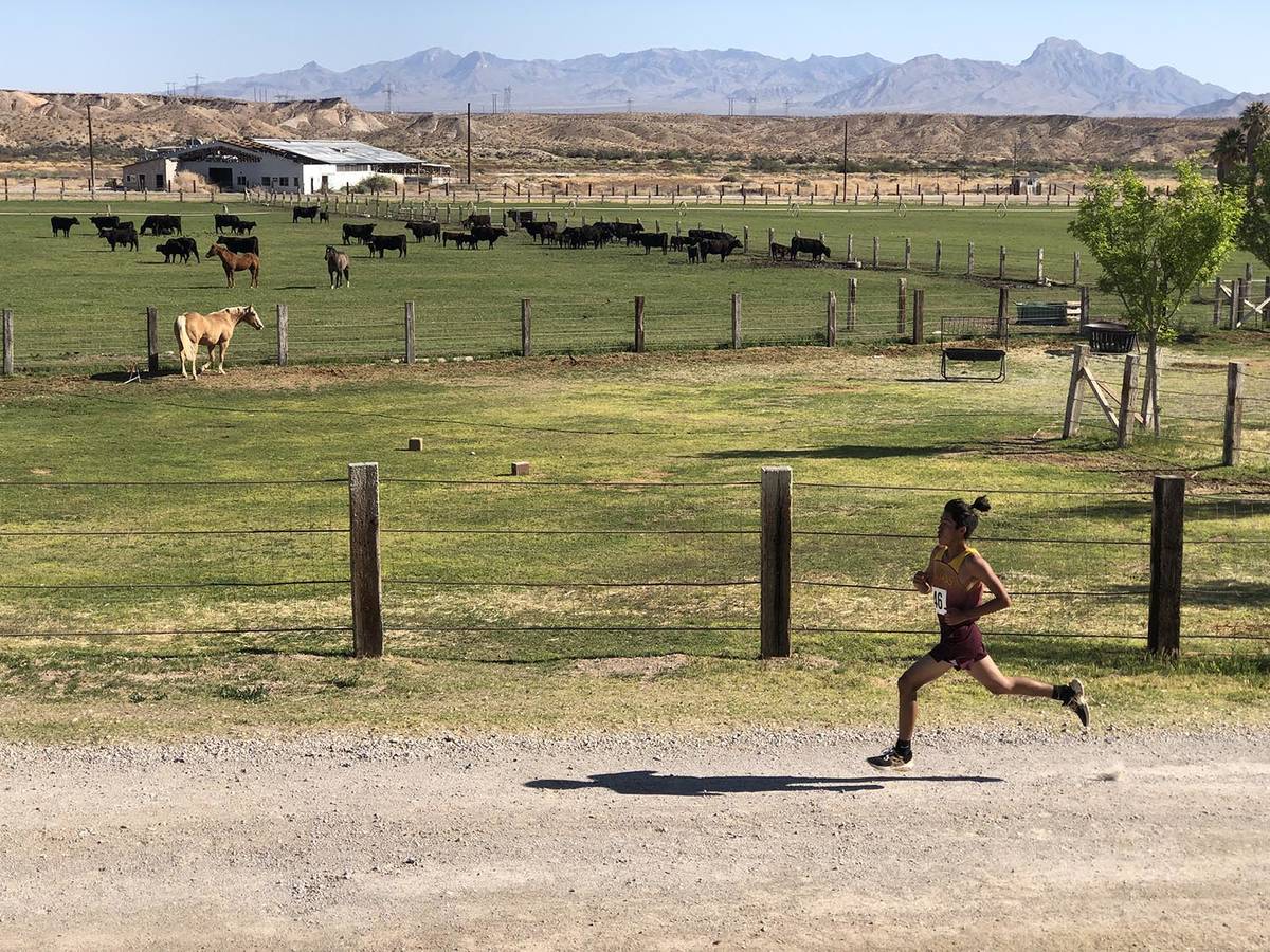 Tom Rysinski/Pahrump Valley Times The four-lap course Saturday at the Southern Region cross cou ...