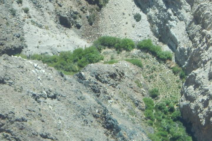 Special to the Pahrump Valley Times An illegal 40-acre marijuana grow operation was recently di ...