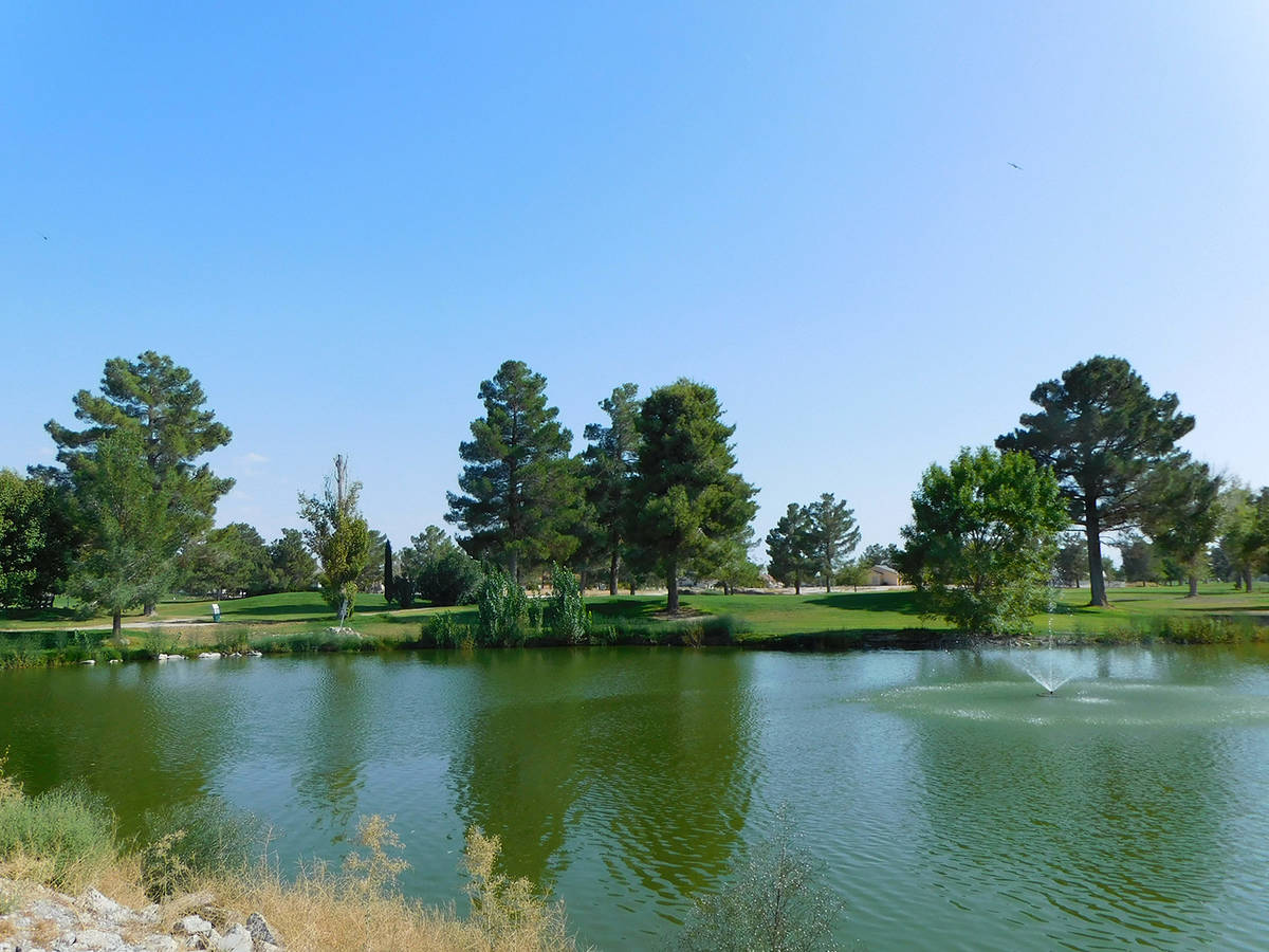 Robin Hebrock/Pahrump Valley Times A view across the small lake for which Lakeview Executive Go ...
