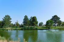 Robin Hebrock/Pahrump Valley Times A view across the small lake for which Lakeview Executive Go ...