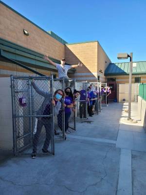 Special to the Pahrump Valley Times Maddie’s Pet Adoption Days partnered with 44 organizatio ...