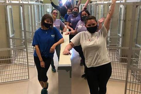Special to the Pahrump Valley Times Volunteers and employees rejoice at empty kennels following ...