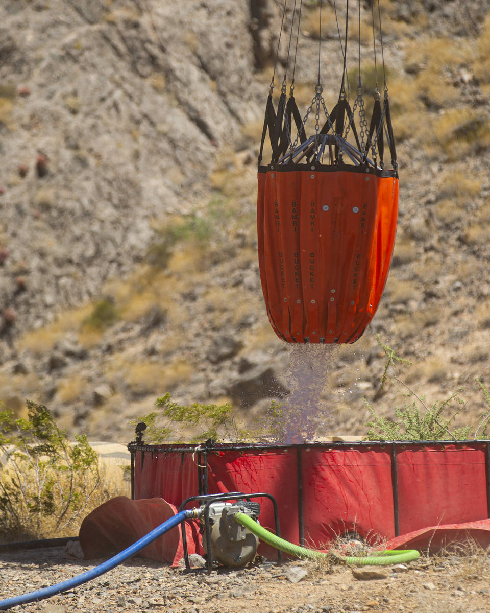 Rick Thielmann, chief pilot at the Nevada Department of Wildlife, releases water using a Òbamb ...