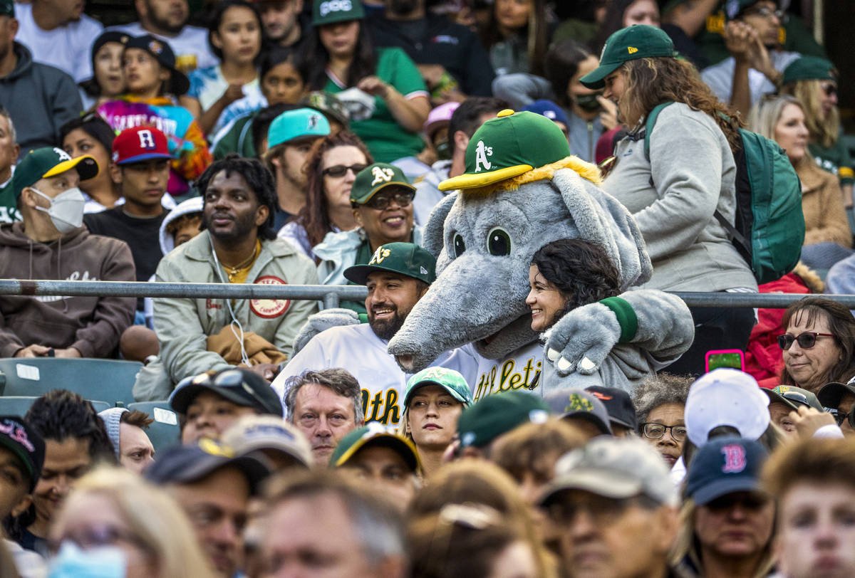 Joe Pompliano on X: Fans of the Oakland A's have scheduled a