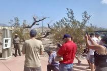 Special to the Pahrump Valley Times Death Valley National Park has waived entrance fees today t ...