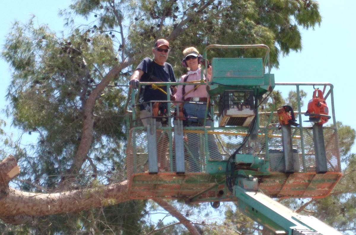 Selwyn Harris/Pahrump Valley Times Enduring triple-digit temperatures, Rob and Laine Brubaker w ...